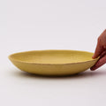 Mino Ware Oval Curry & Pasta Plate NC - Yellow