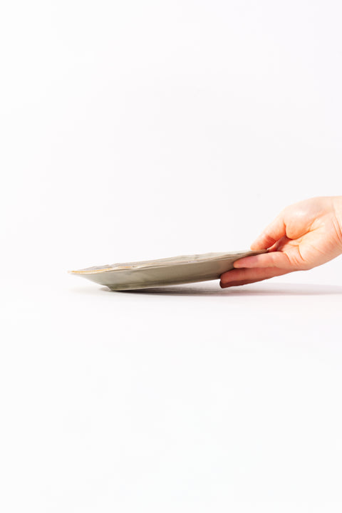 FloraHex Plate Medium