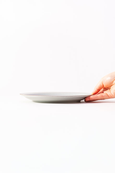 Mino Ware Colored Rim Plate Medium