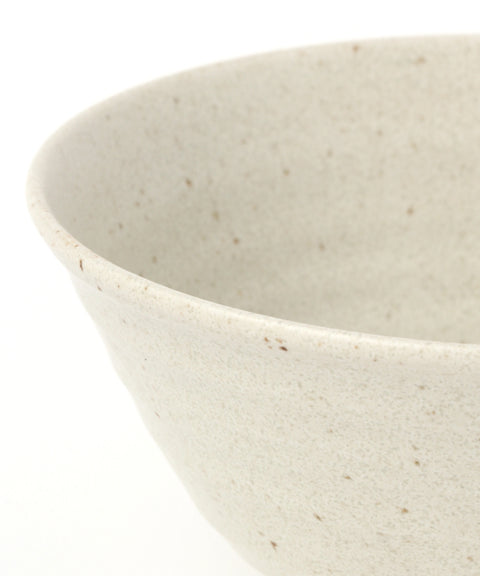 Mino Ware Every Day Ramen Bowl